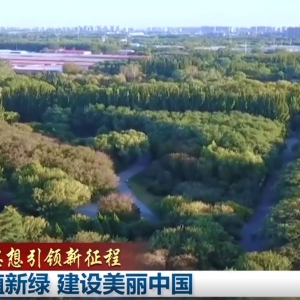 【新思想引领新征程】共植新绿 建设美丽中国