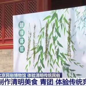 包青团、放风筝……清明民俗活动你体验了吗？