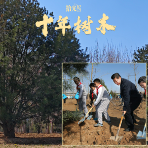拾光纪·种一棵树最好的时间是十年前，更是现在
