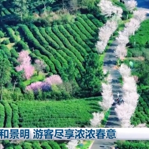 春和景明 游客尽享浓浓春意