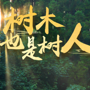 近观“两山” | 树木，也是树人