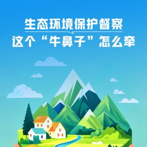 一见·生态环境保护督察，这个“牛鼻子”怎么牵
