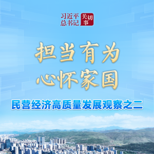 习近平总书记关切事｜担当有为，心怀家国——民营经济高质量发展观察之二 ...