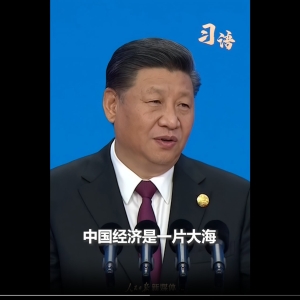 习语｜“中国经济是一片大海，而不是一个小池塘”