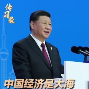 传习录丨中国经济是大海 而不是小池塘