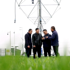 牢记嘱托 感恩奋进——安徽往前赶｜阜阳：绘就乡村振兴新画卷 ...