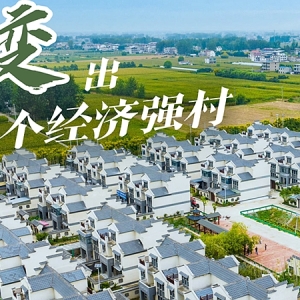 “镇”能量｜10年增收2000倍，强村是如何“变”出来的？