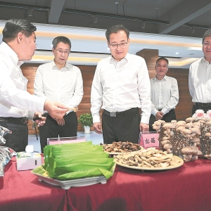 打造现代化航运体系构建现代化产业体系 努力在培育发展新质生产力上走在前列 ...
