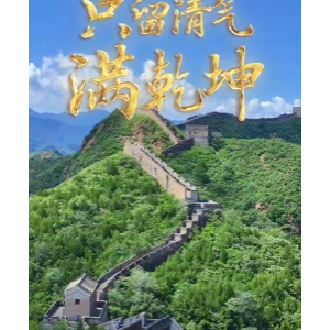 联播观察｜只留清气满乾坤