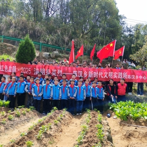 宿松县陈汉乡：清明祭英烈 红色永传承