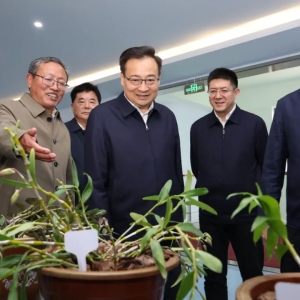 壮大县域特色产业建设宜居宜业和美乡村 全面加快大别山革命老区振兴发展步伐 ...