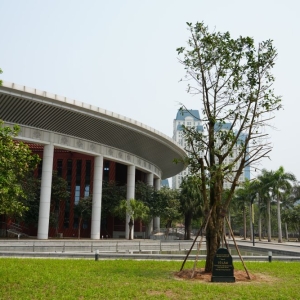 心相近｜“中越友好的根基在人民”——习近平主席引领推动中越传统友谊恒久常新 ...