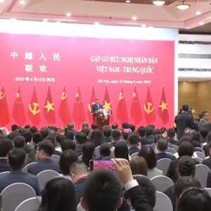 近平同越共中央总书记苏林、越南国家主席梁强共同会见中越人民大联欢活动代表 ...