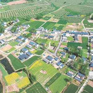 乡居入画