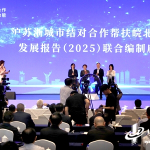 深化长三角结对合作 沪苏浙携手共推皖北重点产业集群建设