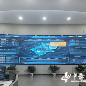 牢记嘱托 感恩奋进——安徽往前赶｜宣城：虚拟电厂书写能源革命“皖美答卷” ...