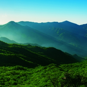 皖山皖水的新赛道——看林业碳票如何激活绿色经济