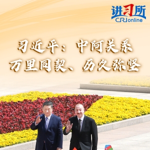 【讲习所·中国与世界】习近平：中阿关系万里同契、历久弥坚 ...
