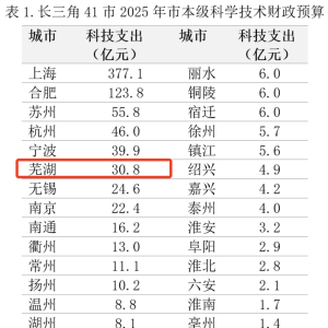 2025年，芜湖“豪掷”30亿元！