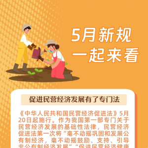 新华社权威快报丨5月新规，一起来看！