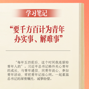 学习笔记丨“要千方百计为青年办实事、解难事”