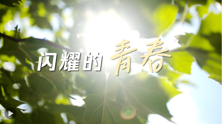 QQ截图20250504093417.png