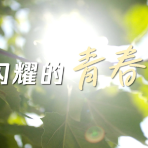闪耀的青春
