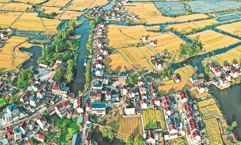 生态田园