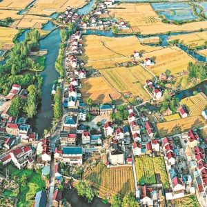 生态田园